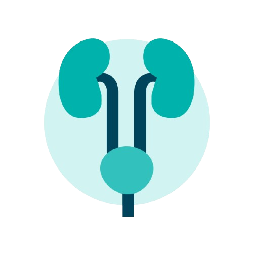 Urologia